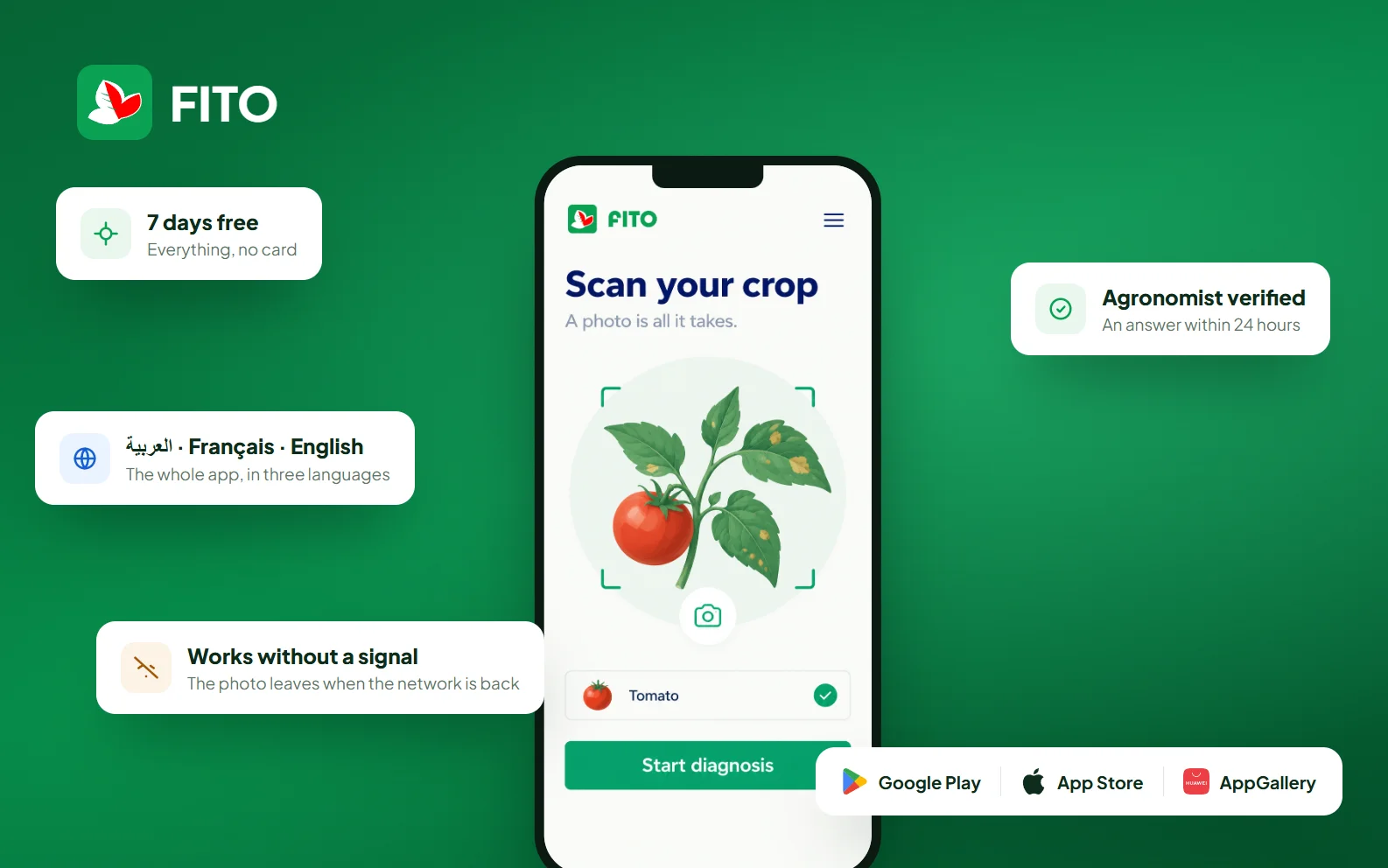 FITO open on a phone: scan your crop, seven days free, three languages, and a diagnosis validated by an agronomist